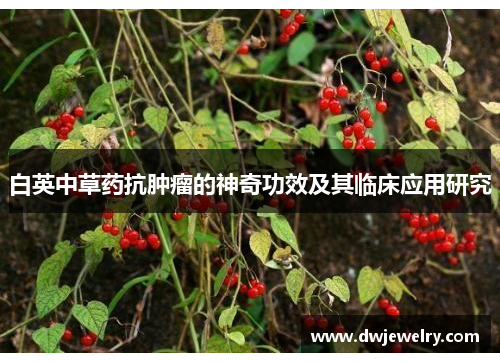 白英中草药抗肿瘤的神奇功效及其临床应用研究