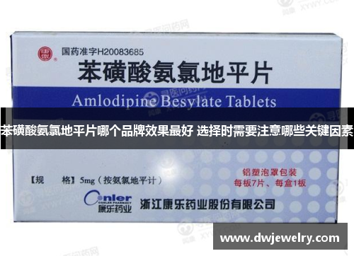 苯磺酸氨氯地平片哪个品牌效果最好 选择时需要注意哪些关键因素