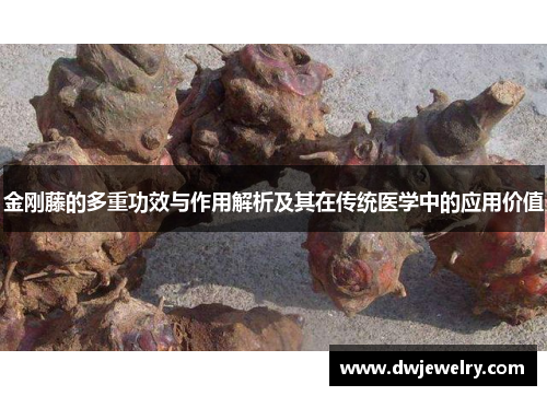 金刚藤的多重功效与作用解析及其在传统医学中的应用价值